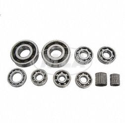 SET Kugellager SKF - für Motor MM250/4, TS250/1 - 10-teilig