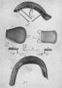 Mudguards,seats,air pump,passenger footrest