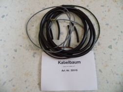 Kabelbaum Personenseitenwagen mit großem Kotflügel ES/TS