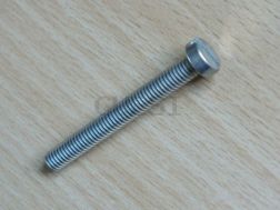 Zylinderschraube CM 6 x 50 verzinkt