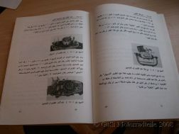Sammlerstück ! Reparaturanleitung ETZ 125/150 ARABISCH