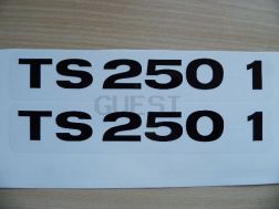 Sticker sidecover TS 250-1